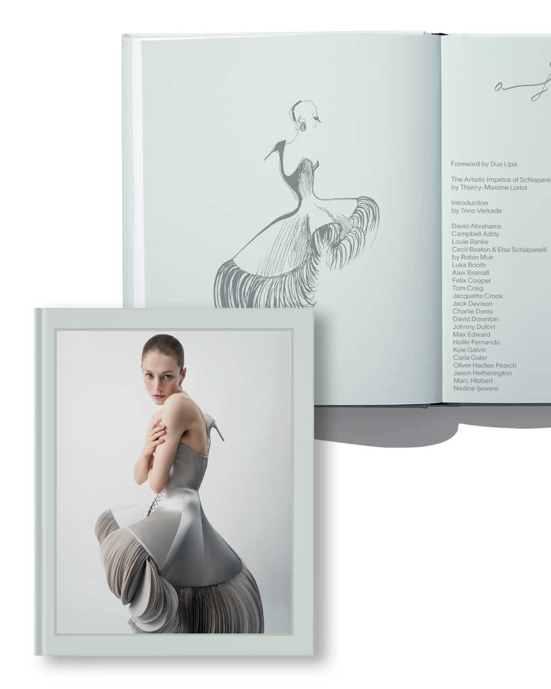 SCHIAPARELLI ANGLOMANIAC book