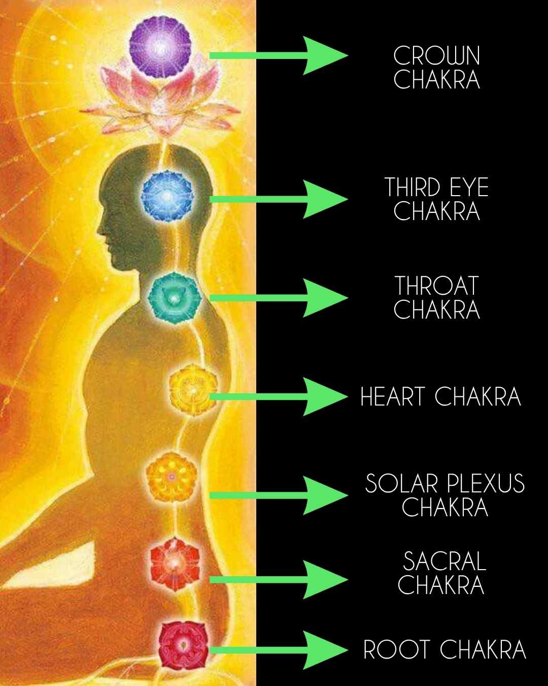 the seven 7 chakras