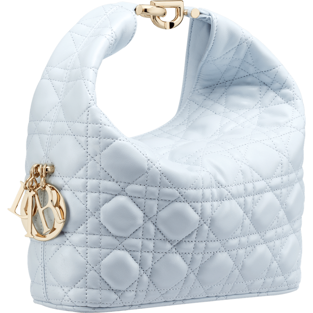 dior toujours hobo bag in pastel blue